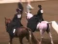 US Arabian Ladies Side Saddle English FINAL US Arabian Ladies Side Saddle English FINAL