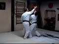 NIHON GOSHIN AIKIDO