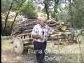 giresun alucra armutlu