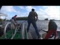 Boat piles up on rocks
