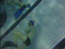 Underwater Rugby (UWR) montage
