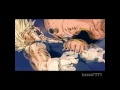 Click here to watch this video ANIME SUPERCUT - A tribute to SaladUK