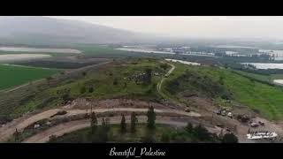 قرية سمخ المهجرة / طبريا فلسطين ??