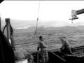 videos de king crab 2003, adak
