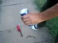 videos de firecracker rocket
