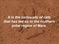 First Paw Prints on Mars