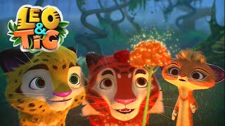 Leo and Tig 🦁 New friend 🐯 Funny Family Good