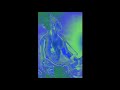 Richard Z. Kruspe - Adios Solo/ Soli (A tout le monde)
