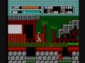 the karate kid for the nes. not as bad as people think, but not much better.