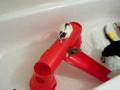 videos de Dachshund in Tub with Rats