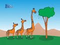 Aula 05 - BIologia - Evolu��o das esp�cies