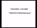 Pasarea Colibri - Tristeti provinciale Manele-Gratis.net