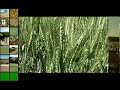 Adoção de Transgênicos na Agricultura