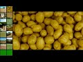 Adoção de Transgênicos na Agricultura