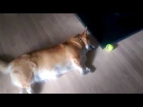 Play YouTube video