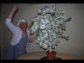The Money Tree!