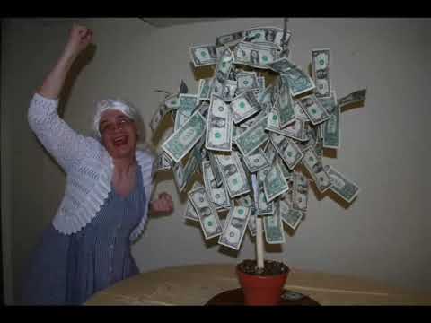 how to make a money tree
