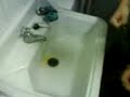 el txino88 y sus videos LAS TUBERIAS COMUNICANTES