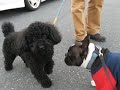 Maggie Gets Lucky (almost!!)