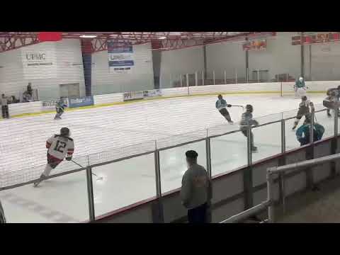 Sharks Goal Toe Catch