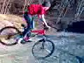 Sammy crash Sammy crash