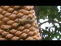Port Vila Part 3