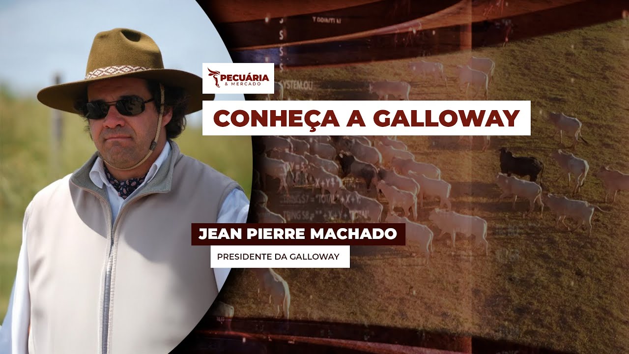 A raça Galloway se difere pela dupla pelagem, rusticidade e boa qualidade da carne