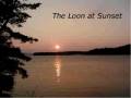 videos de Nova Scotia Beach Property