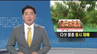 뉴스데스크