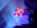 22.12.09 CCN 2 Tour in Wien-Alles Verloren