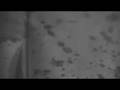 THA ALBUM TEASER #3