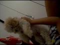 videos de Rhuan Junior