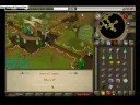 Monkey Madness Part 1 Monkey Madness Part 1