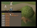 Runescape H E R O X V2 PVP Worlds PK Vid 2