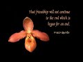 Friendship cards with Gheorghe Zamfir-Kill bill soundtrack Manele-Gratis.net