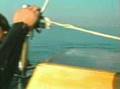 hang gliding pioneers