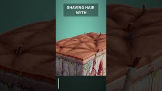 Does shaving really make hair grow back thicker?