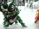 GDPT Bao Quang [ lion dance]