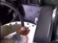 videos de Get Better Gas Mileage with Hydrogen Fuel Savers
