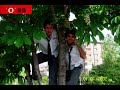 Maltepe Süper Lisesi 2005 \ Maltepe Süper Lisesi 2005 \