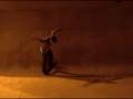 videos de 
