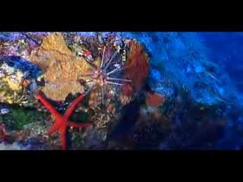 Mediterr�neo Central y Occidental 2� parte