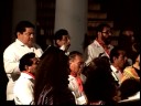 Borrachita Coro UV