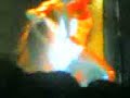 festa da t-shirt molhada na discoteca luanda