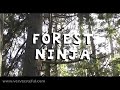 very tasteful   forest ninja