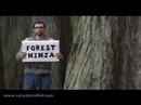 Very Tasteful - Forest Ninja (I Love The Sasquatch)