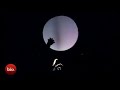 Amazing Hand Shadow Show by Raymond Crowe