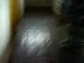 pako dormido.3GP