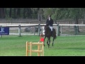 Ulysse des Chenes