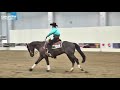 Click here to watch this video derby 2012 non pro primo go GIOVANNI MASI - THAZ A BOY score 215